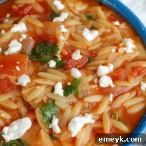 Silky One Pot Tomato Herb Orzo 5 A close-up of a serving of One Pot Creamy Tomato Herb Orzo in a charming blue bowl, ready to be enjoyed.
