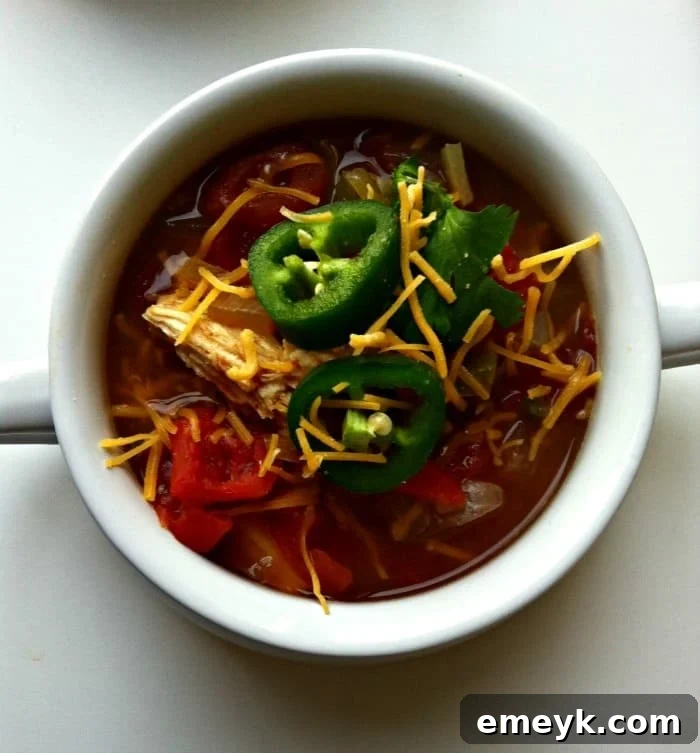 Slow Cooker Tortilla Soup - Quick Back to School Dinners