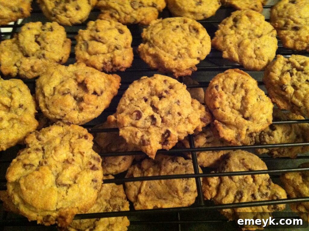 Freshly baked Chocolate and Peanut Butter Chip Cookies cooling on a rack