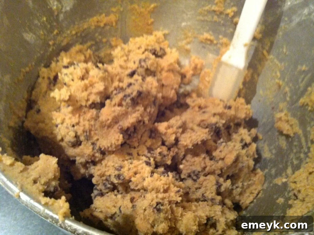 Chocolate and Peanut Butter Chip Cookie dough ready for baking