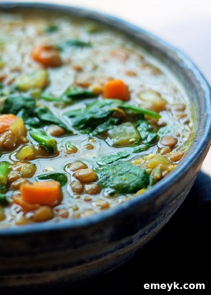 13 Instant Pot Recipes You Can't Live Without 14 Wholesome and comforting Instant Pot Vegan Golden Lentil and Spinach Soup, a quick and healthy plant-based meal packed with nutrients.