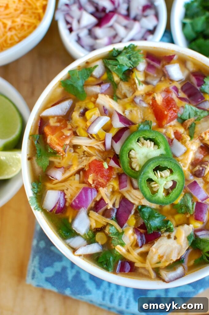 13 Instant Pot Recipes You Can't Live Without 6 Instant Pot Chicken Tortilla Soup is a zesty, hearty soup perfect for any meal. Tender chicken, black beans, corn, diced tomatoes, and Mexican spices come together beautifully in this healthy pressure cooker recipe.