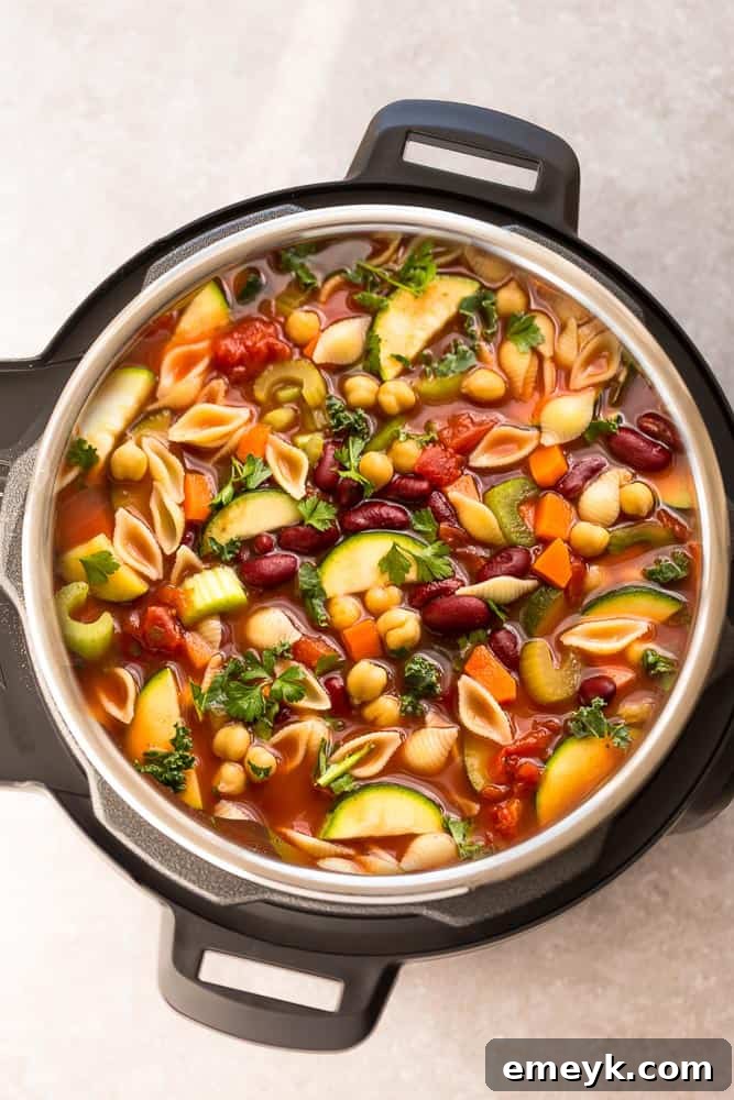 13 Instant Pot Recipes You Can't Live Without 8 Hearty and wholesome Instant Pot Minestrone Soup, packed with fresh vegetables, pasta, and beans for a comforting and quick family meal.