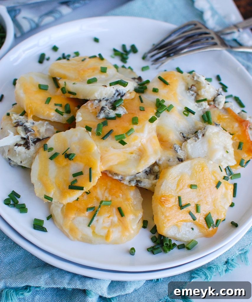 A serving of Spinach Artichoke Scalloped Potatoes on a white plate, showcasing its golden cheese topping and creamy layers.