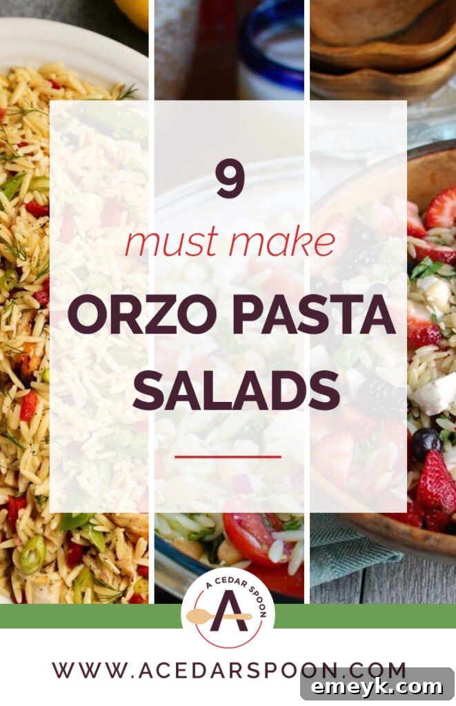 9 Ultimate Orzo Pasta Salads 2 A visually appealing collection of various Orzo Pasta Salads, showcasing fresh ingredients and vibrant colors, perfect for summer meals and gatherings.