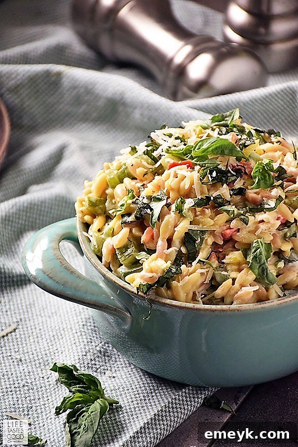 9 Ultimate Orzo Pasta Salads 5 A hearty bowl of Garlic and Parmesan Orzo Salad, filled with colorful fresh vegetables and grated Parmesan, savory and delicious.