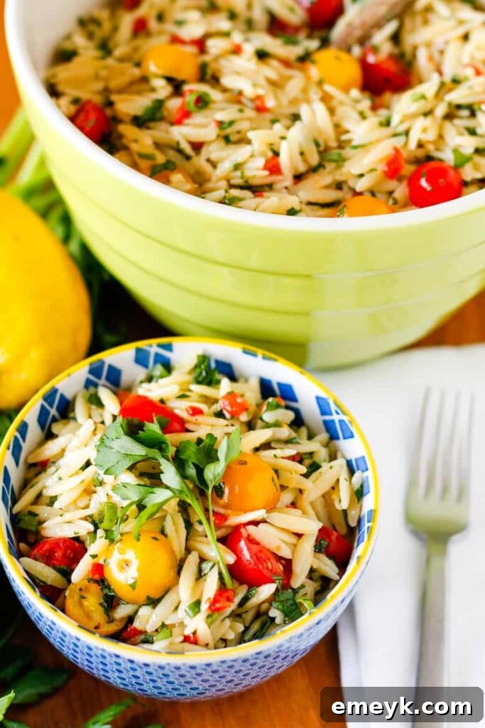 9 Ultimate Orzo Pasta Salads 6 A refreshing bowl of Lemon Basil Orzo Salad, garnished with vibrant green basil leaves and bright lemon wedges, evoking summer.
