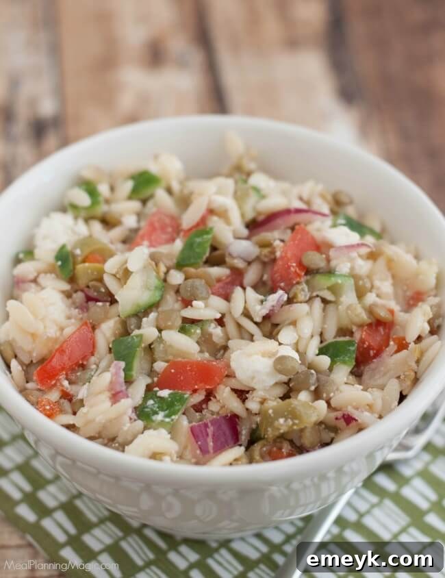 9 Ultimate Orzo Pasta Salads 7 A nutritious Greek Lentil Orzo Salad, featuring hearty lentils, orzo, crisp cucumber, tomatoes, and crumbled feta cheese.