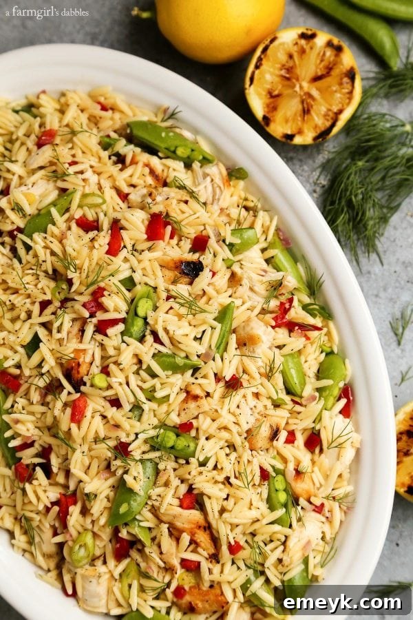 9 Ultimate Orzo Pasta Salads 8 A complete meal of Grilled Chicken and Lemon Orzo Salad, with tender grilled chicken pieces and vibrant salad ingredients.