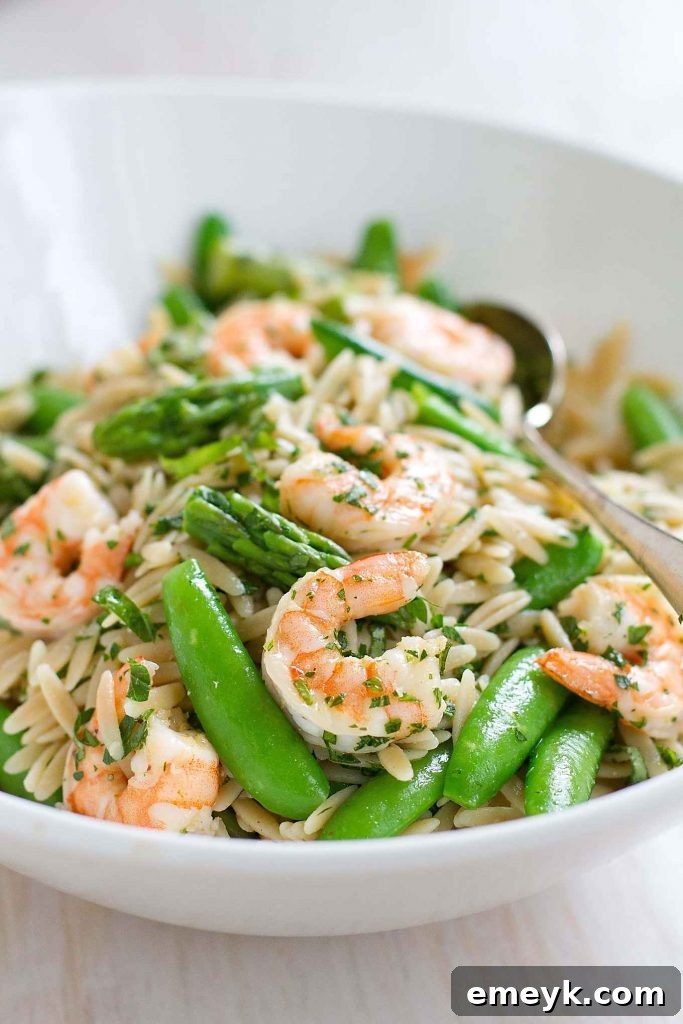 9 Ultimate Orzo Pasta Salads 10 A delightful Primavera Pasta Salad with Shrimp, featuring colorful spring vegetables and tender shrimp, perfect for a light meal.