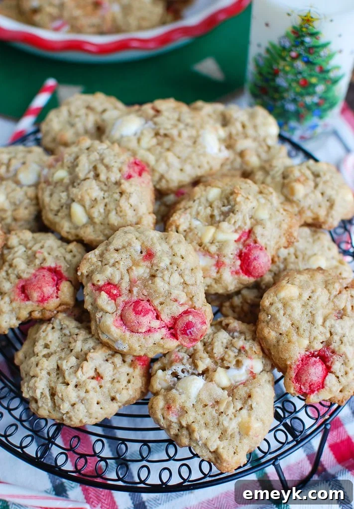 Wintermint White Chocolate Oat Cookies 2 Oatmeal White Chocolate Peppermint Cookies on a wire rack, freshly baked and ready to be enjoyed