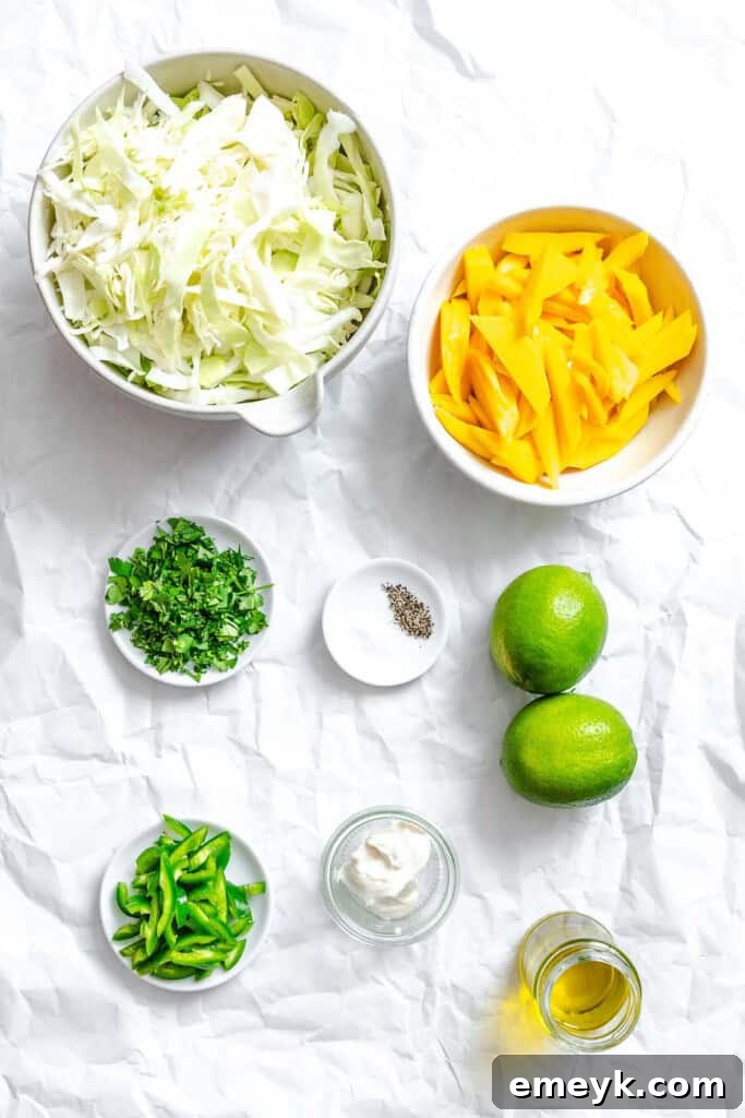 A flat lay image displaying all the fresh ingredients required for the Easy Mango Cabbage Coleslaw recipe.