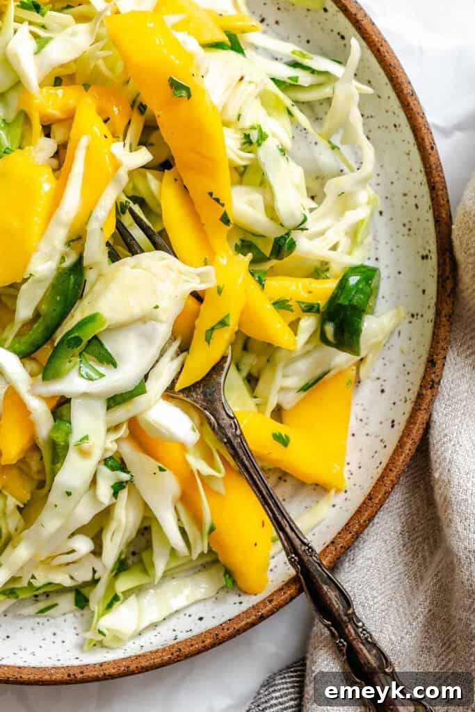 Freshly combined cabbage, mango, cilantro, and jalapeño in a large mixing bowl, ready for dressing.