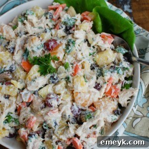 Island Escape Chicken Salad 6 Tropical Chicken Salad Above