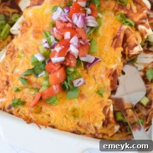 A top-down view of freshly baked Beef Enchiladas, golden and bubbly with melted cheese.