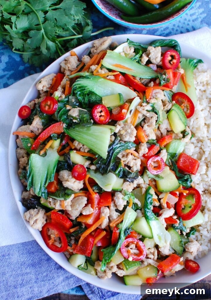 Close-up of Spicy Thai Basil Chicken Stir-Fry on a white plate