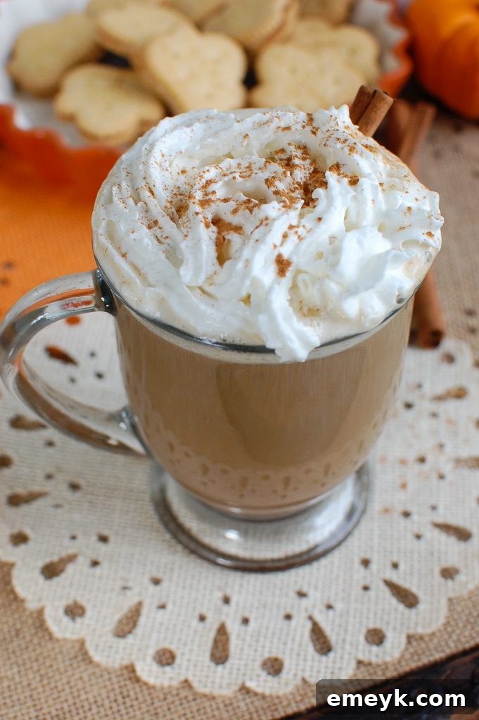 Fall's Signature Sip 4 Overhead view of a Pumpkin Spice Latte generously topped with whipped cream and a dusting of cinnamon, in a white mug on a dark surface.