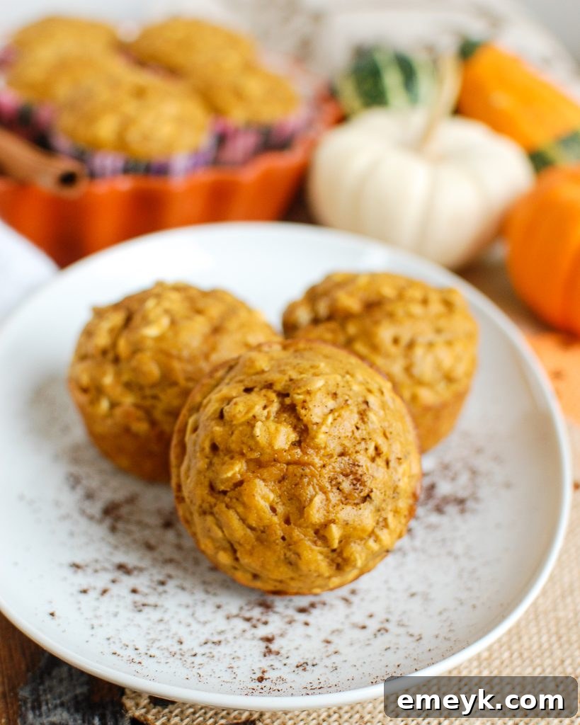 Easy Pumpkin Muffins on white plate, perfect for fall breakfast or snack