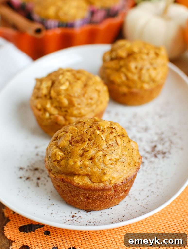 Three Easy Pumpkin Muffins on a white background, showcasing their golden-brown tops and tender crumb