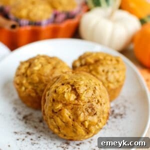 Easy Pumpkin Muffins 1200 x 1200
