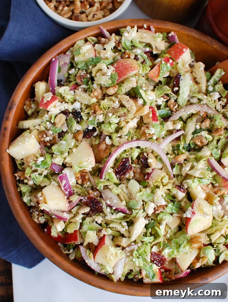 Shaved Brussels Sprout and Apple Salad with Creamy Goat Cheese 3 Half bowl of Brussels Sprout Apple Goat Cheese Salad, ready to be served