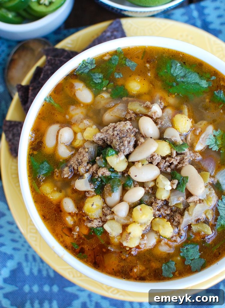 Zesty Instant Pot Pork Verde 3 Instant Pot Pork Chili Verde served on a yellow plate, garnished with fresh cilantro and a lime wedge.