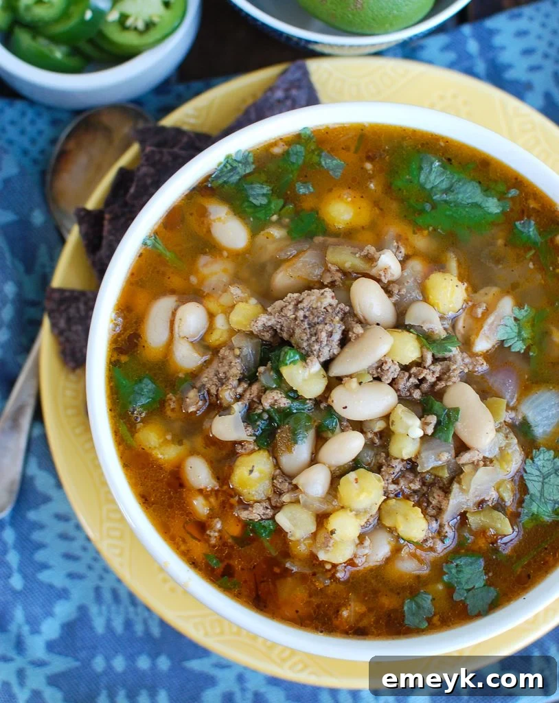 Zesty Instant Pot Pork Verde 5 A white bowl filled with Instant Pot Pork Chili Verde, accompanied by a spoon for serving.
