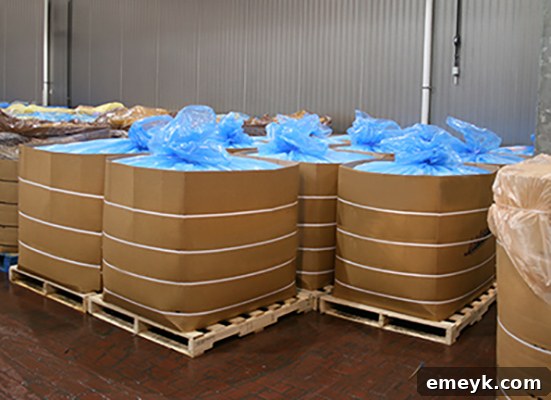 Pork bellies being moved on a conveyor belt in a processing plant