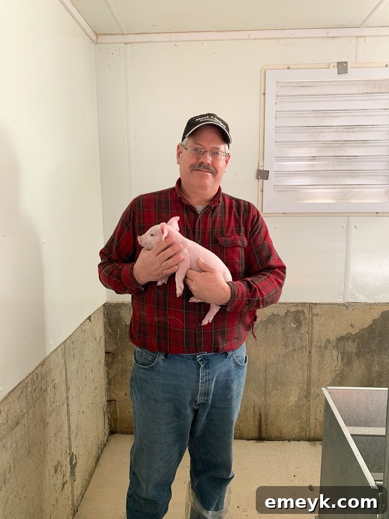 Ohio Farm to Flavor: Crafting Homemade Barbecue Sauce 5 Inside a Clean Hog Barn at Shoup Brothers Farm, SEO: Modern Hog Farming Practices Ohio