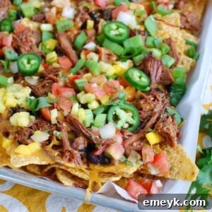Beef Nachos 1200 x 1200