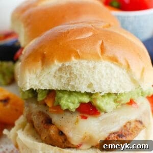 Pork Burgers 1200 x 1200