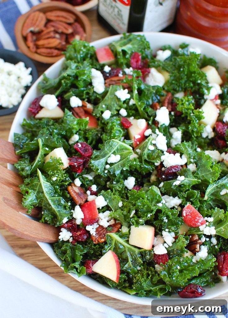 Vibrant Kale Salad with Cranberries in a pristine white bowl, showcasing fresh ingredients