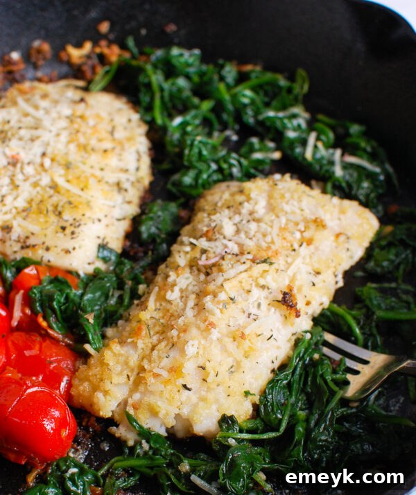 Black Sea Bass Recipe with blistered cherry tomatoes