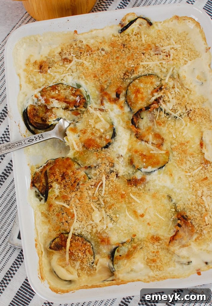 Close-up of creamy Zucchini Gratin being served with a spoon, showing the golden-brown crust.