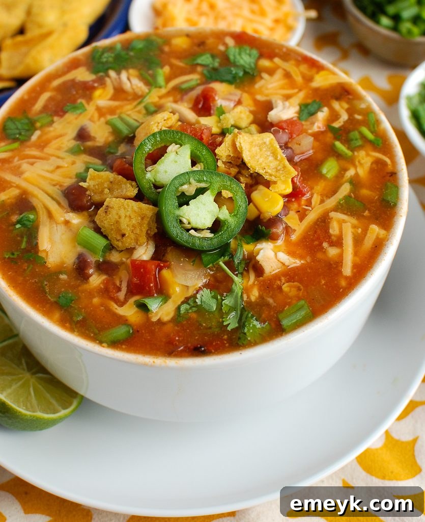 Fiesta Chicken Enchilada Bowl 2 Hearty Chicken Enchilada Soup in a white bowl, garnished with fresh cilantro and a dollop of sour cream.