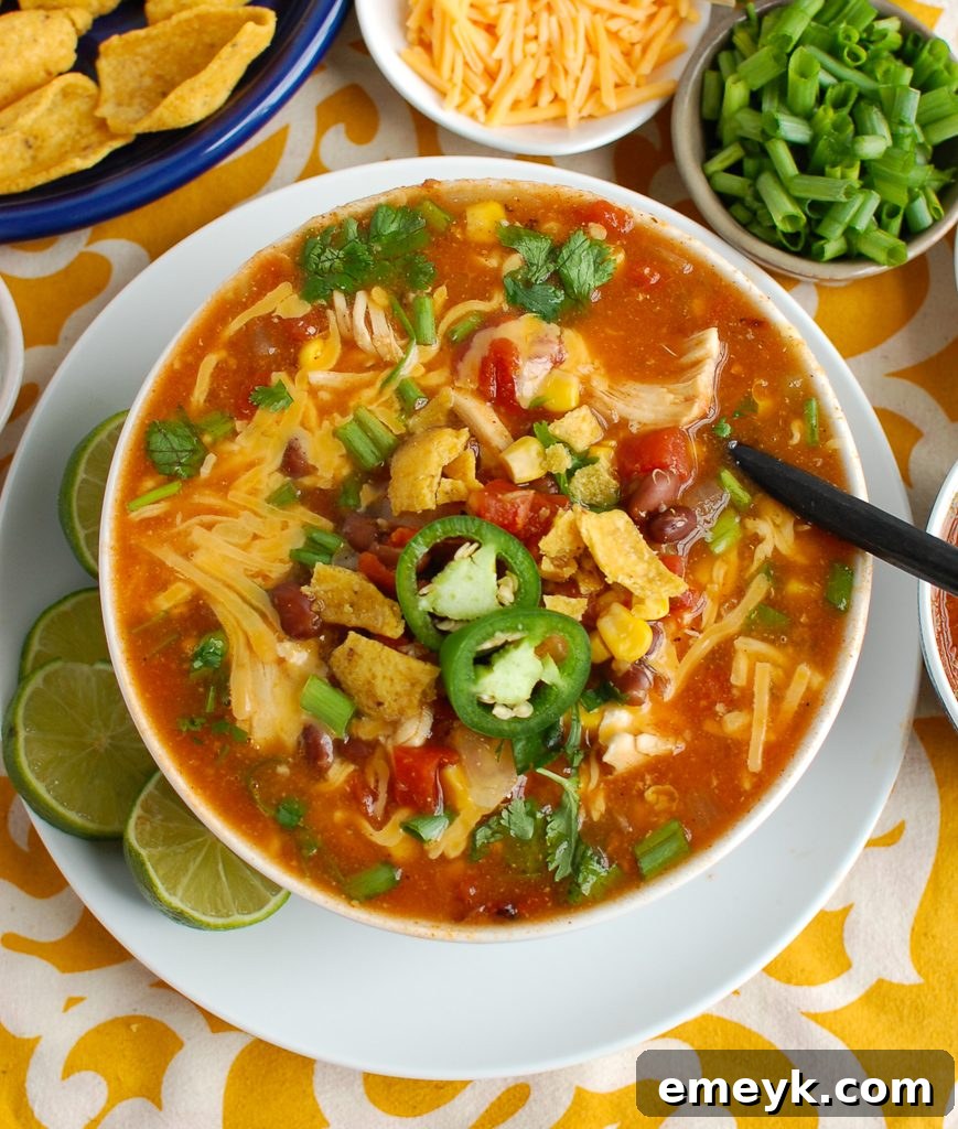 Fiesta Chicken Enchilada Bowl 5 A bowl of Chicken Enchilada Soup generously topped with shredded cheese, sour cream, and cilantro.