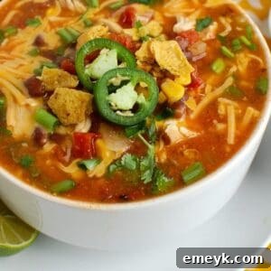 Chicken Enchilada Soup 1200 x 1200