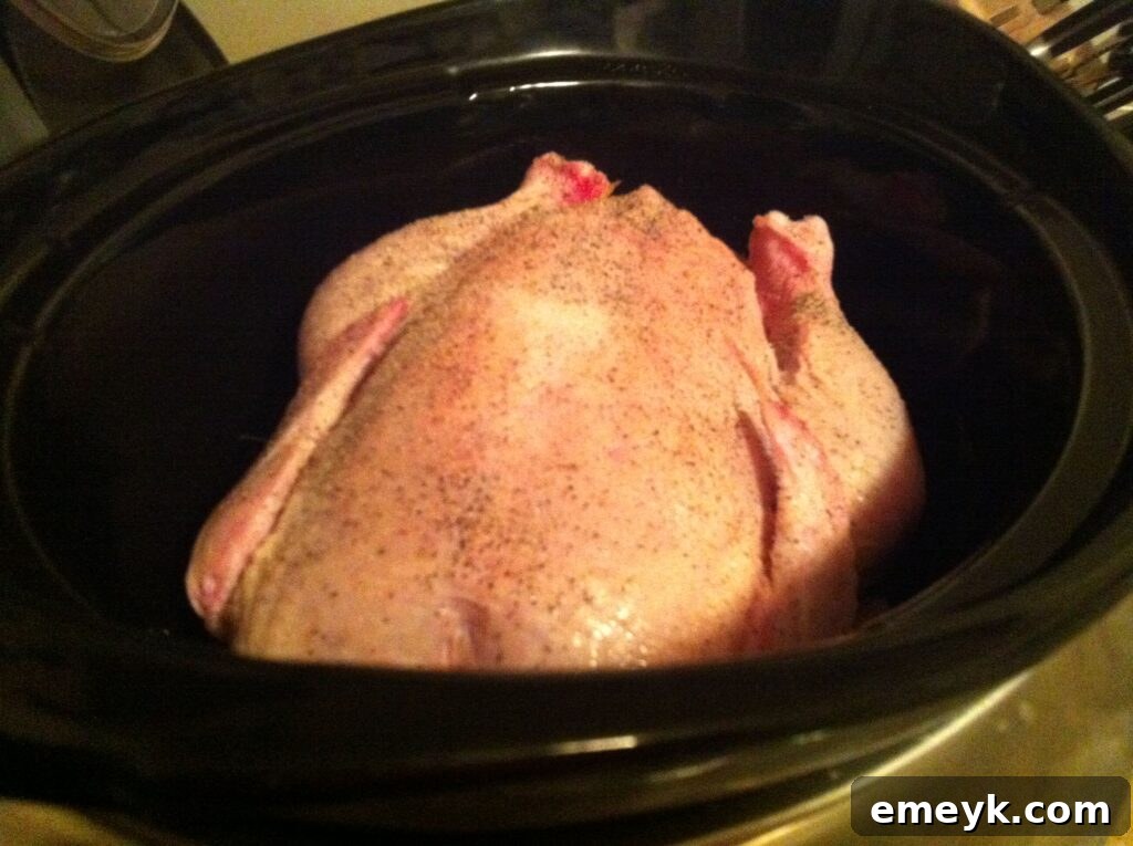 Slow Cooker Chicken Stock - seasoned chicken in the pot