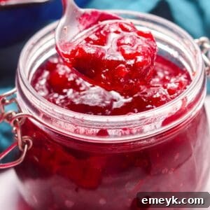 Homemade Cranberry Sauce ready to serve