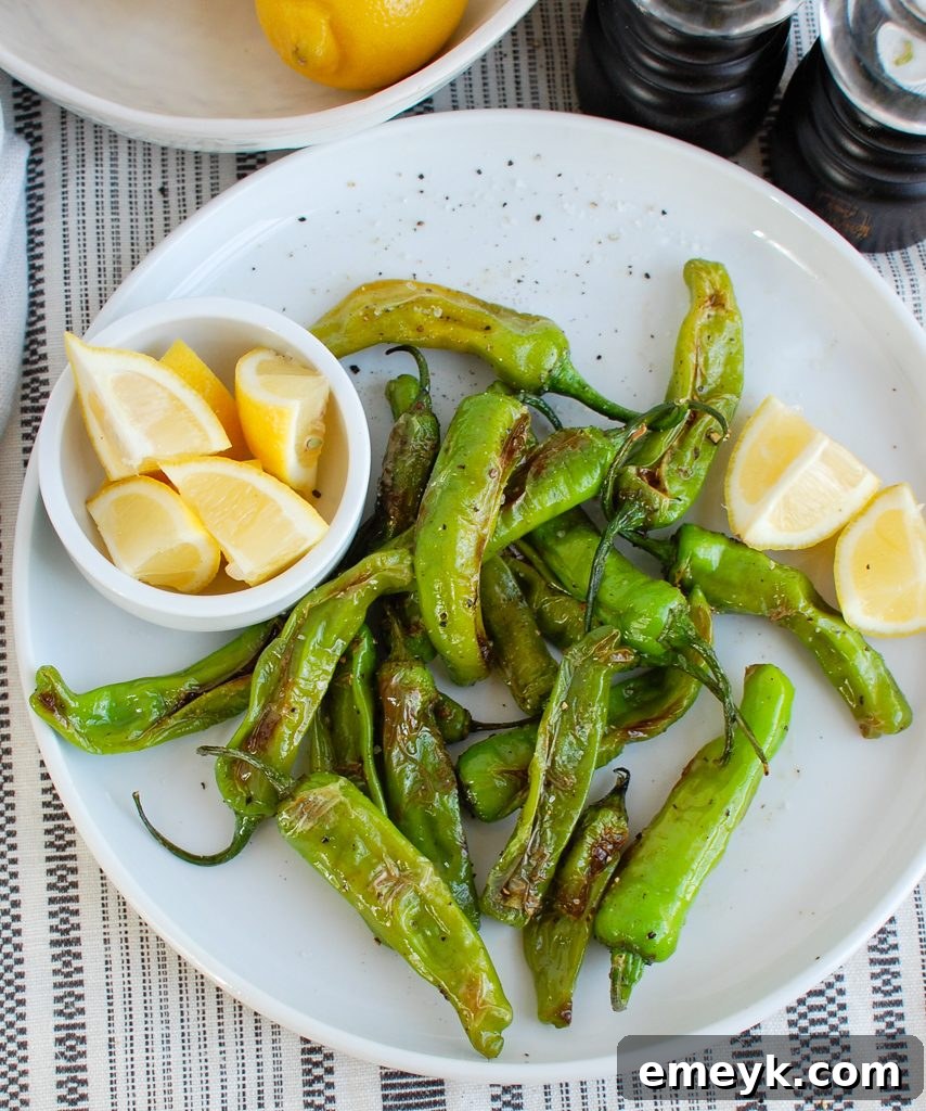 Perfectly cooked Shishito Peppers arranged on a crisp white plate