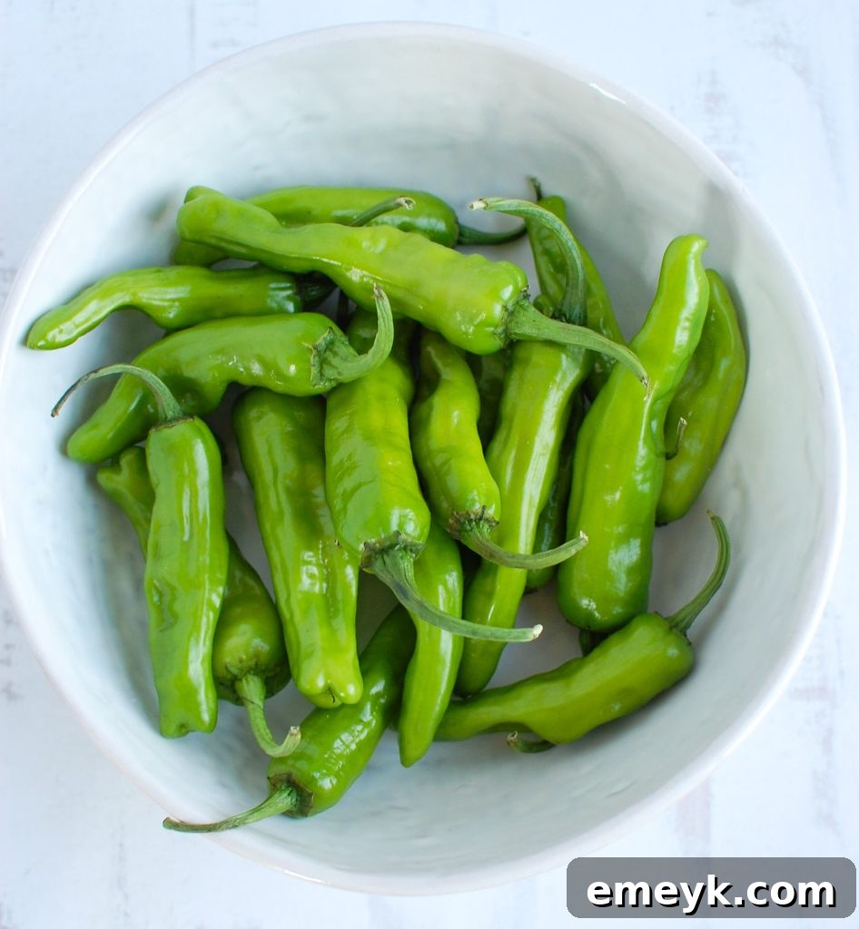 Uncooked Shishito Peppers in a bowl, showing their fresh green color