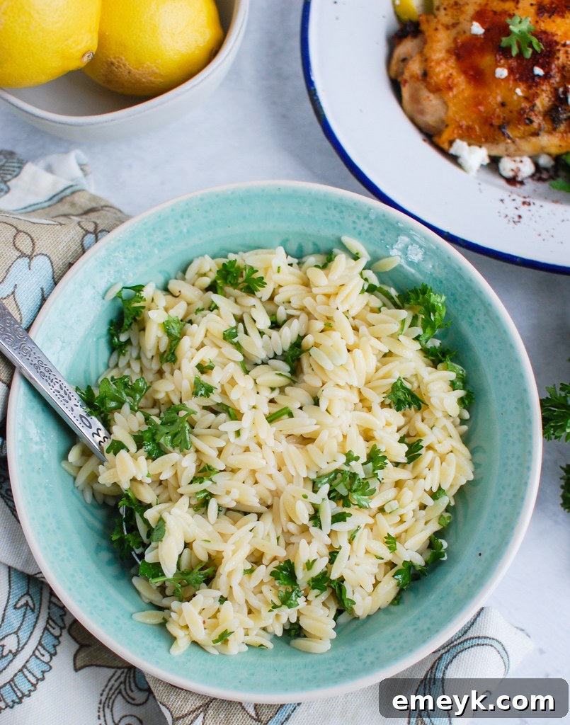 A close-up shot of Mediterranean Chicken, glistening and golden, served with a generous portion of lemon parsley orzo.