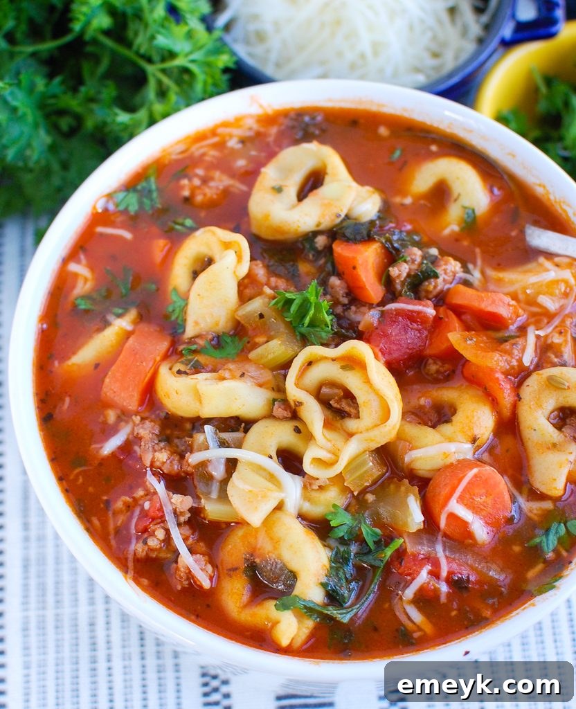 A beautifully presented bowl of Tortellini Sausage Soup, garnished with fresh herbs and ready to be enjoyed.