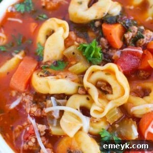 A top-down view of a comforting bowl of Tortellini Sausage Soup, garnished with fresh parsley, ready to be served.