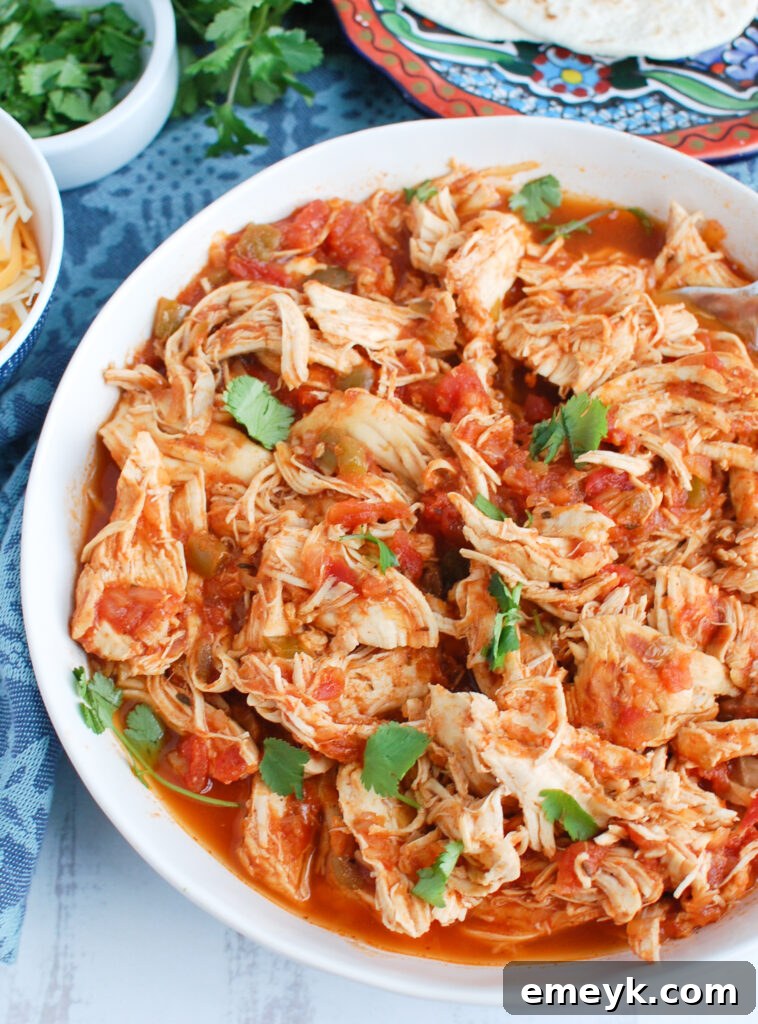 Effortless Instant Pot Shredded Chicken 3 Easy Instant Pot Shredded Chicken garnished with fresh cilantro, ready to be served