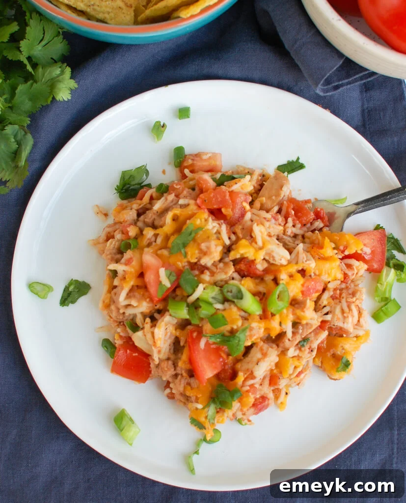 A serving of Mexican Chicken Casserole on a white plate, garnished with fresh cilantro.