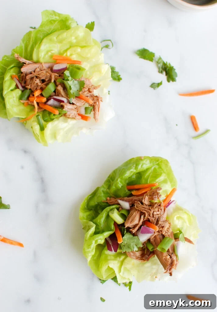 Slow Cooker Beef Brisket served with fresh carrots and garnishes