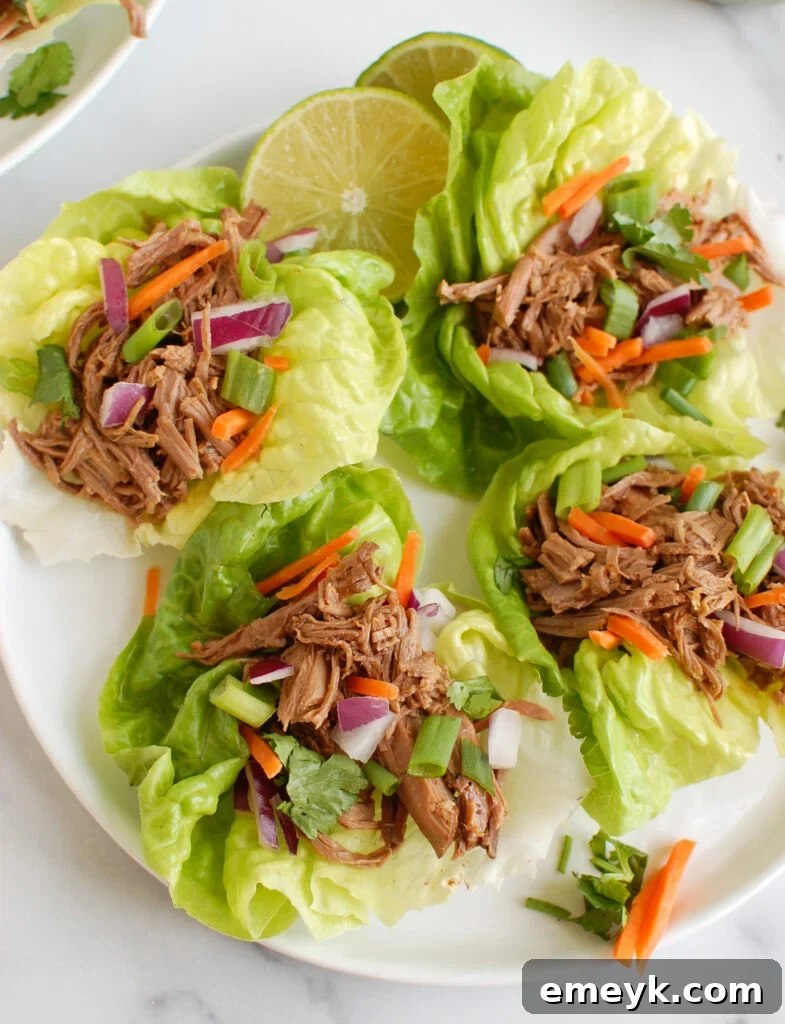 Slow Cooker Beef Brisket on a plate with fresh garnishes