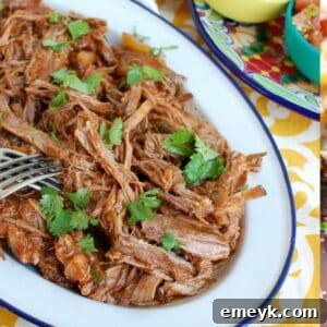 Slow Cooker Asian Beef Brisket
