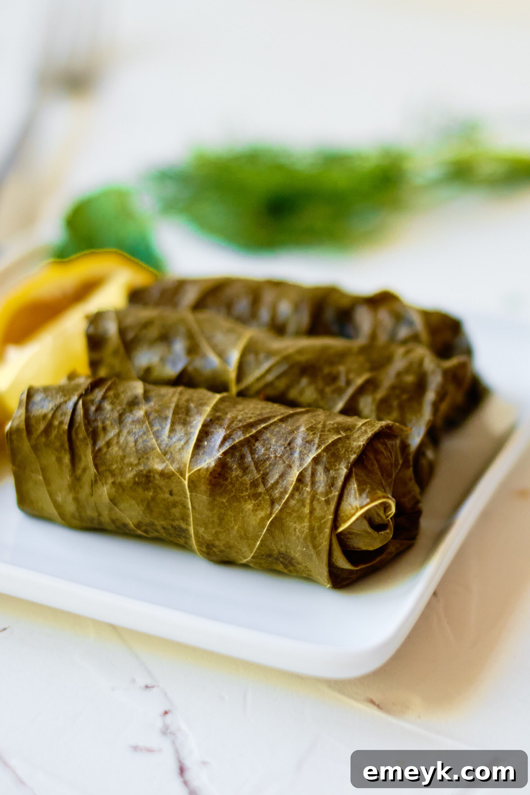 Effortless Homemade Dolma 2 Beautifully arranged stuffed grape leaves (dolmas) on a white plate, garnished with fresh herbs and lemon wedges, showcasing their appealing golden-green color. A perfect Mediterranean appetizer.